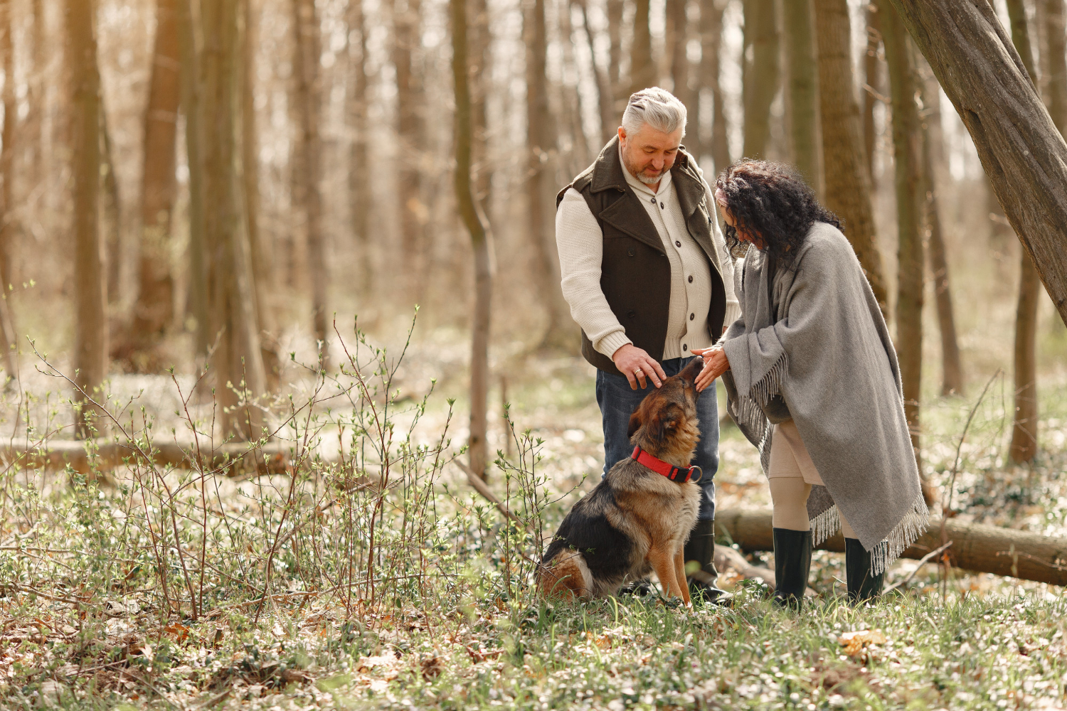 Assurance chien de chasse : le guide complet pour protéger votre compagnon de terrain